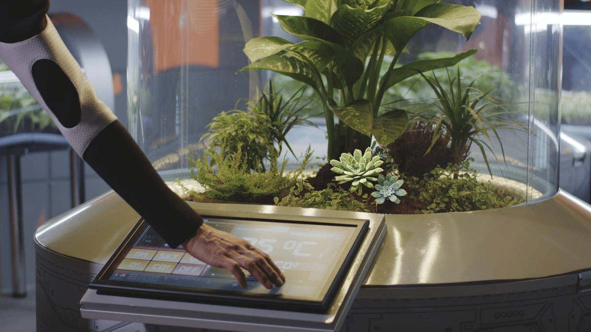 Indoor Environment for Cacti